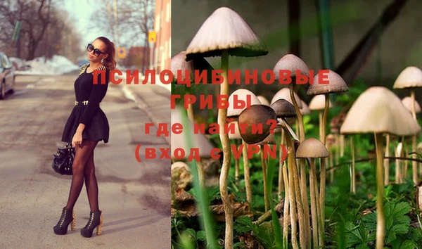 трава Кулебаки