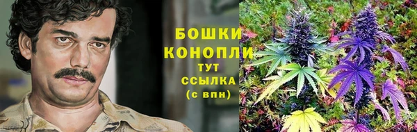 трава Кулебаки