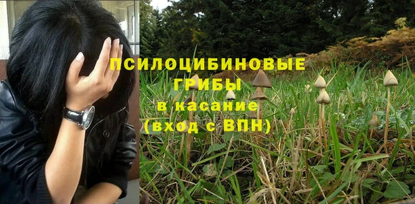 трава Кулебаки