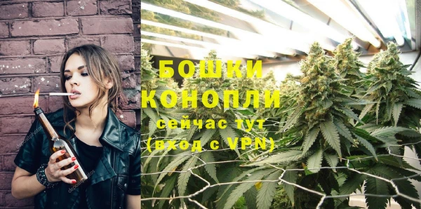 трава Кулебаки